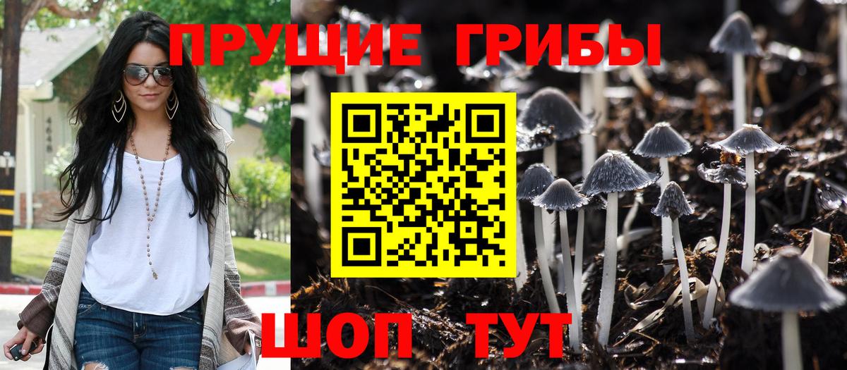 Галлюциногенные грибы мухоморы Лесозаводск